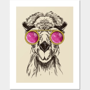 camel pink glasses Posters and Art